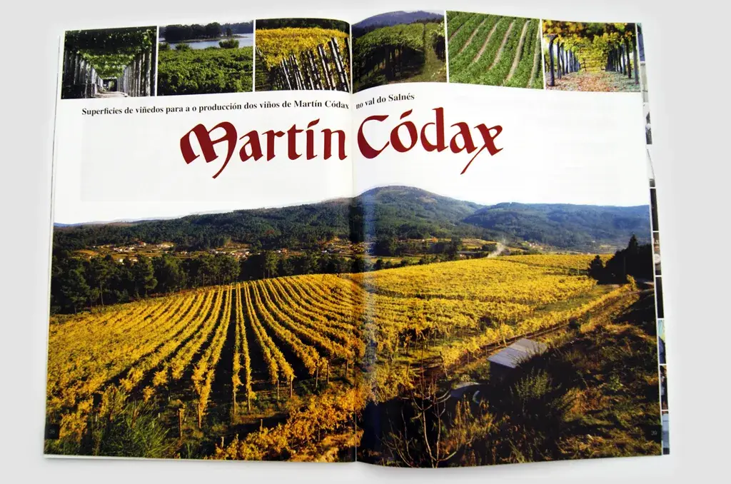 REVISTA PARA BODEGAS MARTÍN CÓDAX