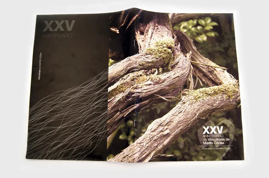 REVISTA PARA BODEGAS MARTÍN CÓDAX